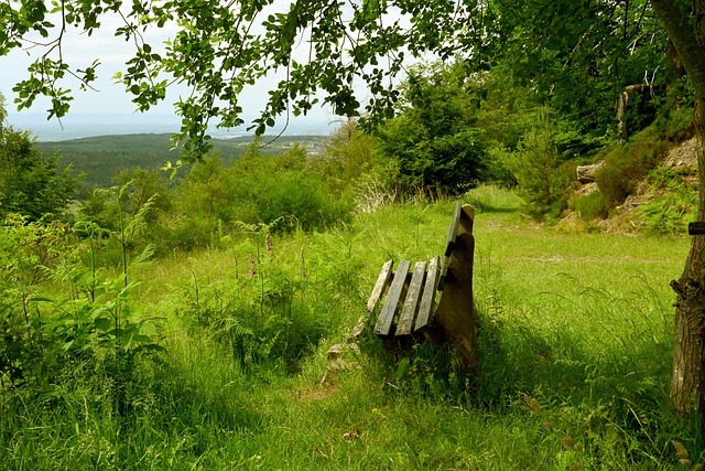 长期权衡 长期权衡
