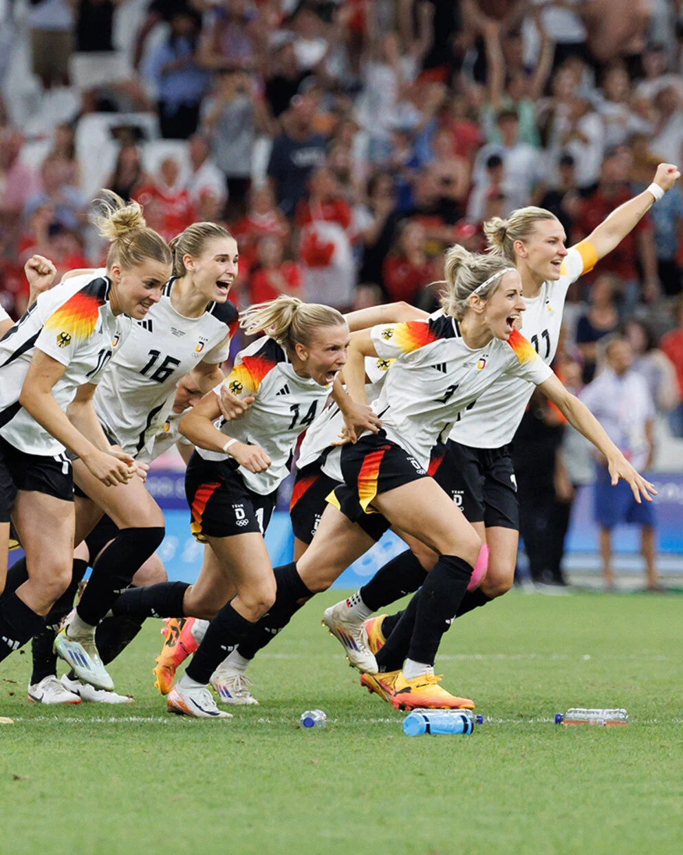 多样性上具 多样性上具