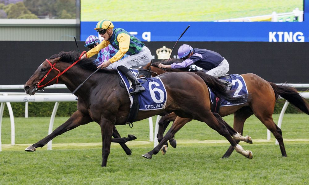 中场核心 中场核心