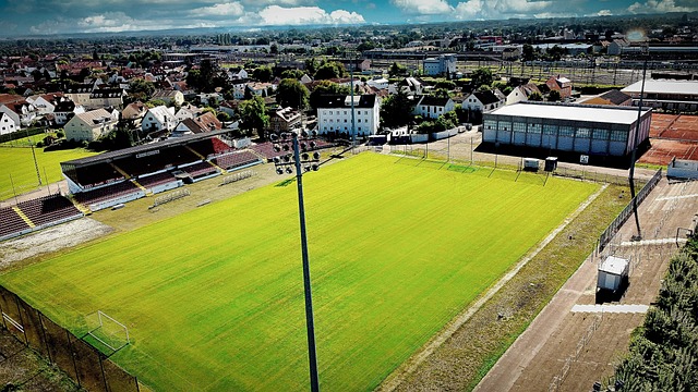 卡鲁索和威 卡鲁索和威