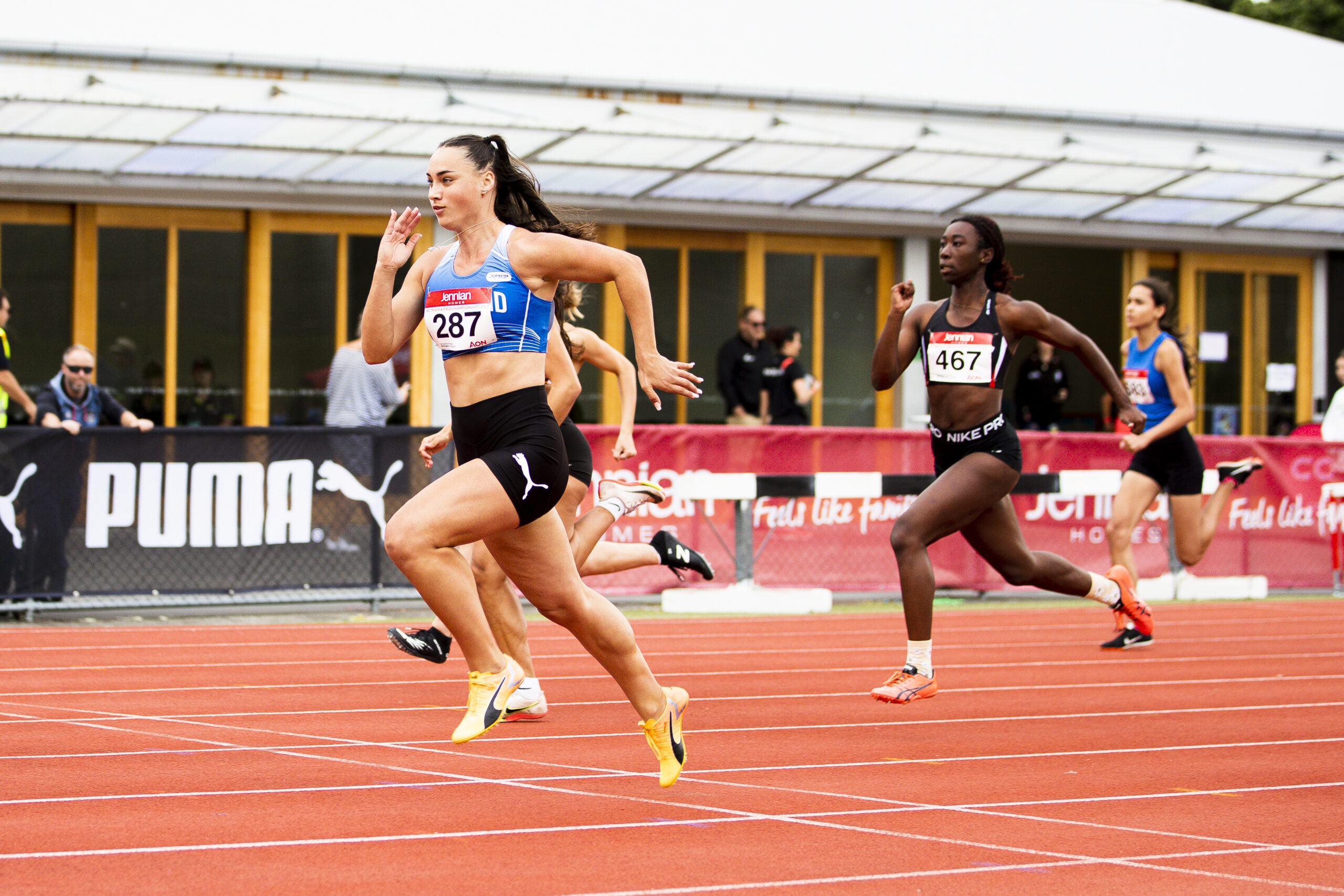 东契奇的加 东契奇的加